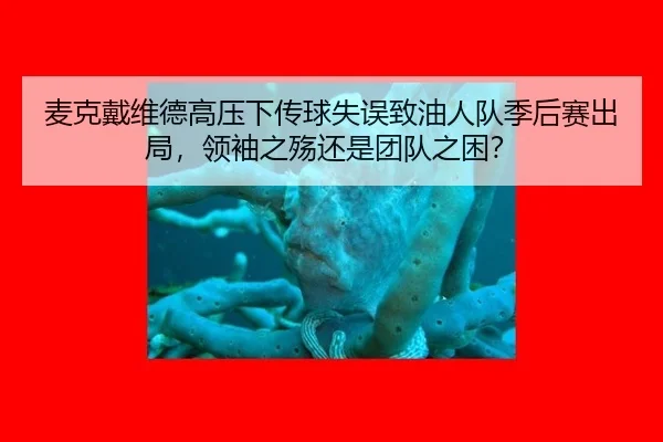 mai-ke-dai-wei-de-gao-ya-xia-chuan-qiu-shi-wu-zhi-you-ren-dui-ji-hou-sai-chu-ju-ling-xiu-zhi-shang-hai-shi-tuan-dui-zhi-3-682.jpg