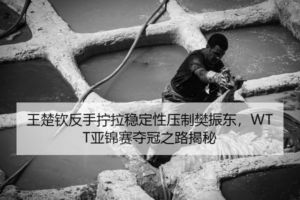 王楚钦反手拧拉稳定性压制樊振东，WTT亚锦赛夺冠之路揭秘